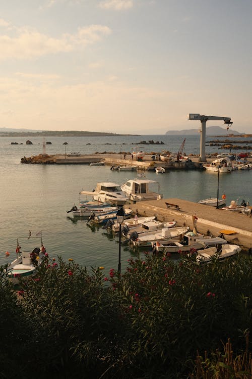 Boats Moored in the Harbor 