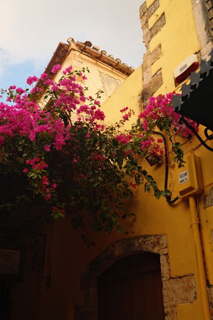 Bright pink bougainvillea cascading over a rustic Mediterranean wall, creating a vivid contrast.