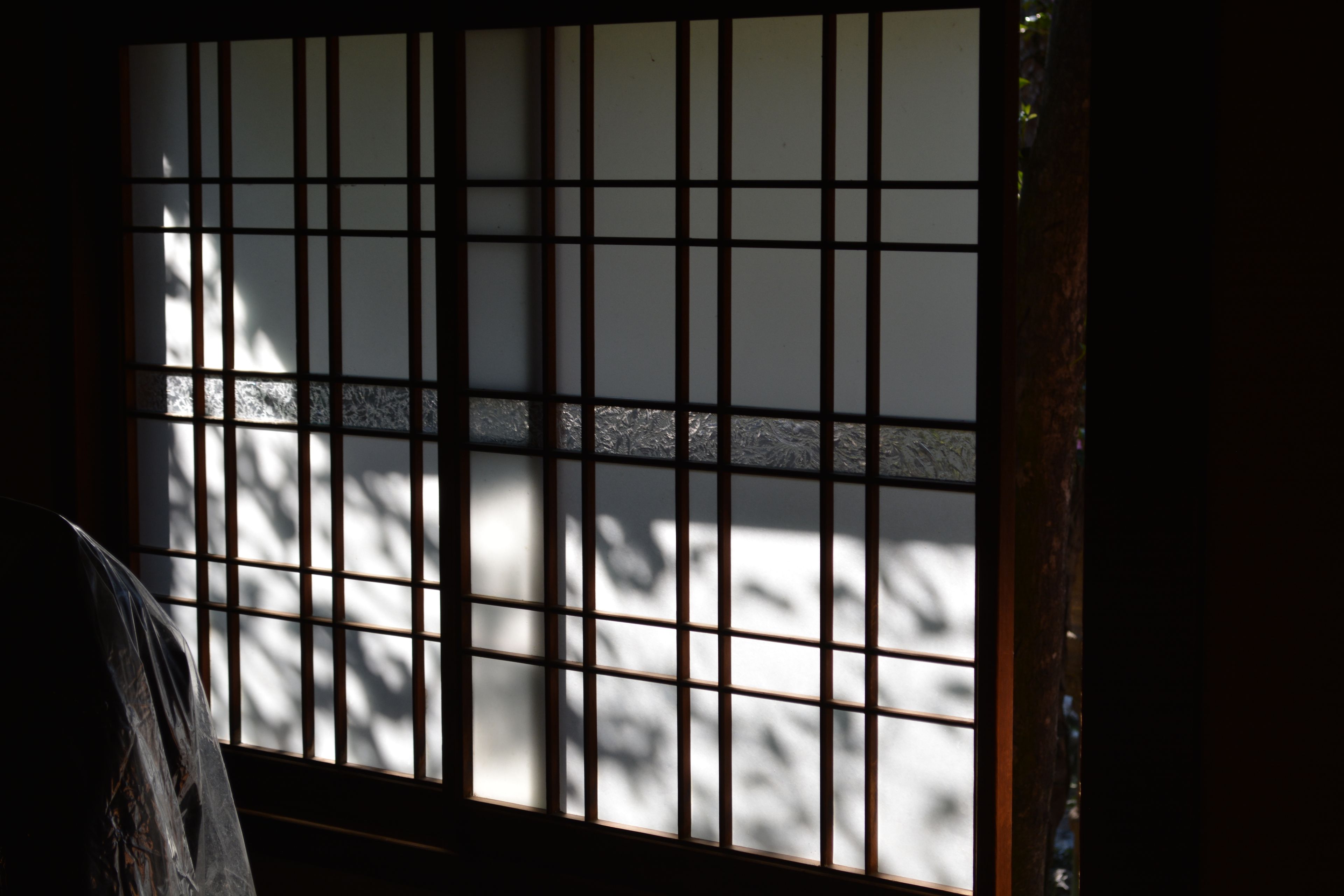 Artistic capture of a traditional shoji screen showing beautiful light and shadow patterns.