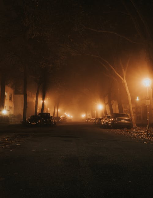 Cars Parked on the Street at Night