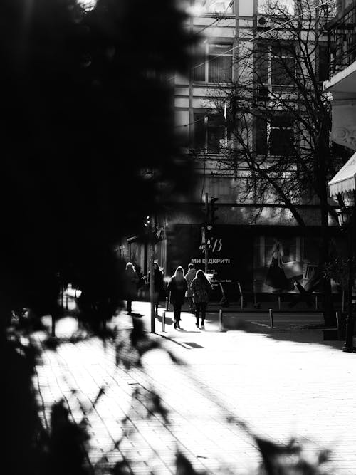 Darmowe zdjęcie z galerii z chodnik, chodzący ludzie, czarno-biały