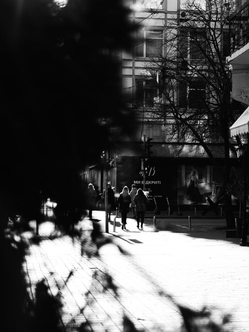 Free Dramatic black and white photo capturing people walking in an urban street setting. Stock Photo