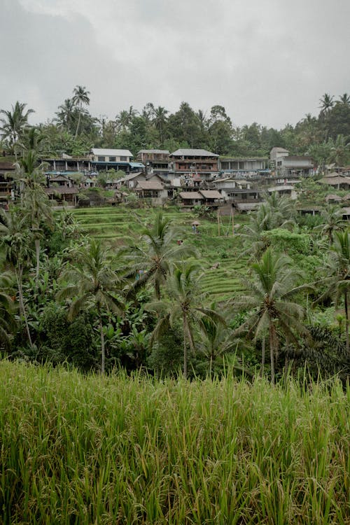 Village in Asia 