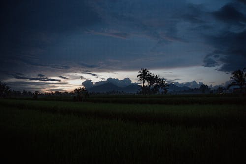 Photo of Agricultural Land at Dusk