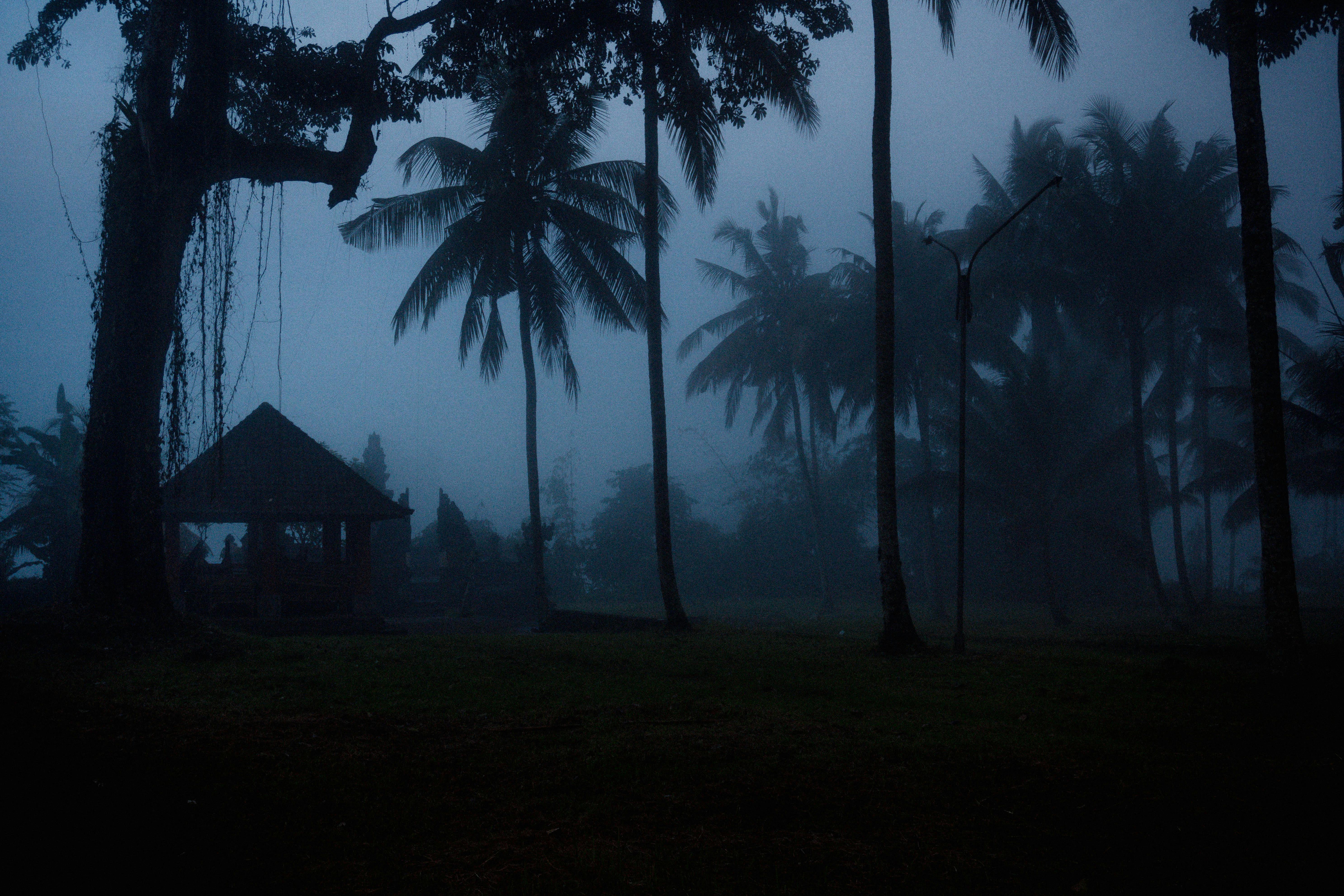 Safety & Weather Watcher