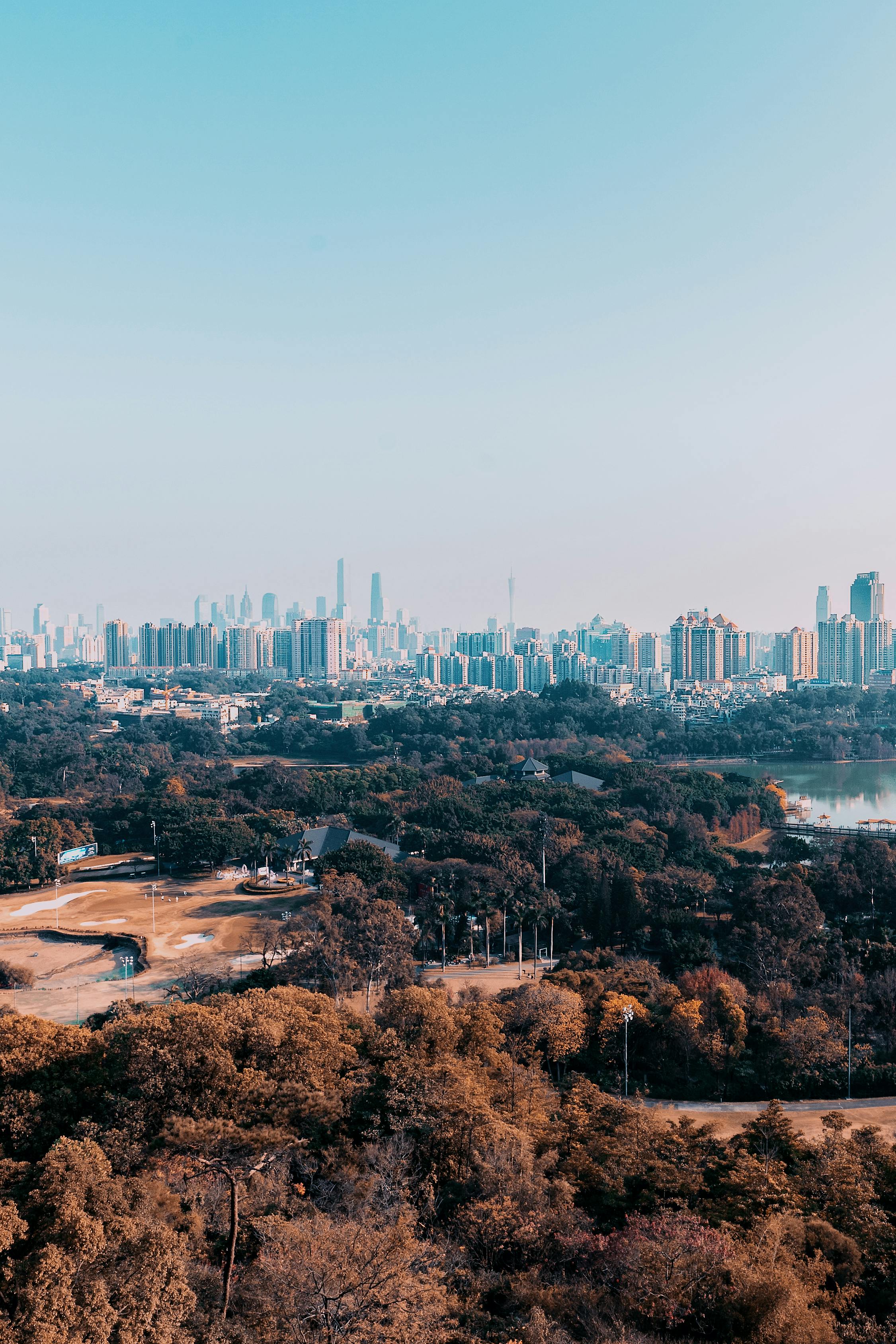 city park with downtown in background