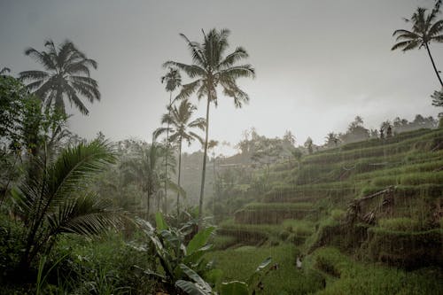 Southwest Monsoon Brings Flash Flood Threat This Week