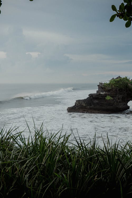 Photograph of  Green Grass near the Sea