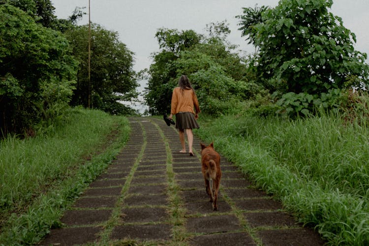 Woman Walking With A Brown Dog