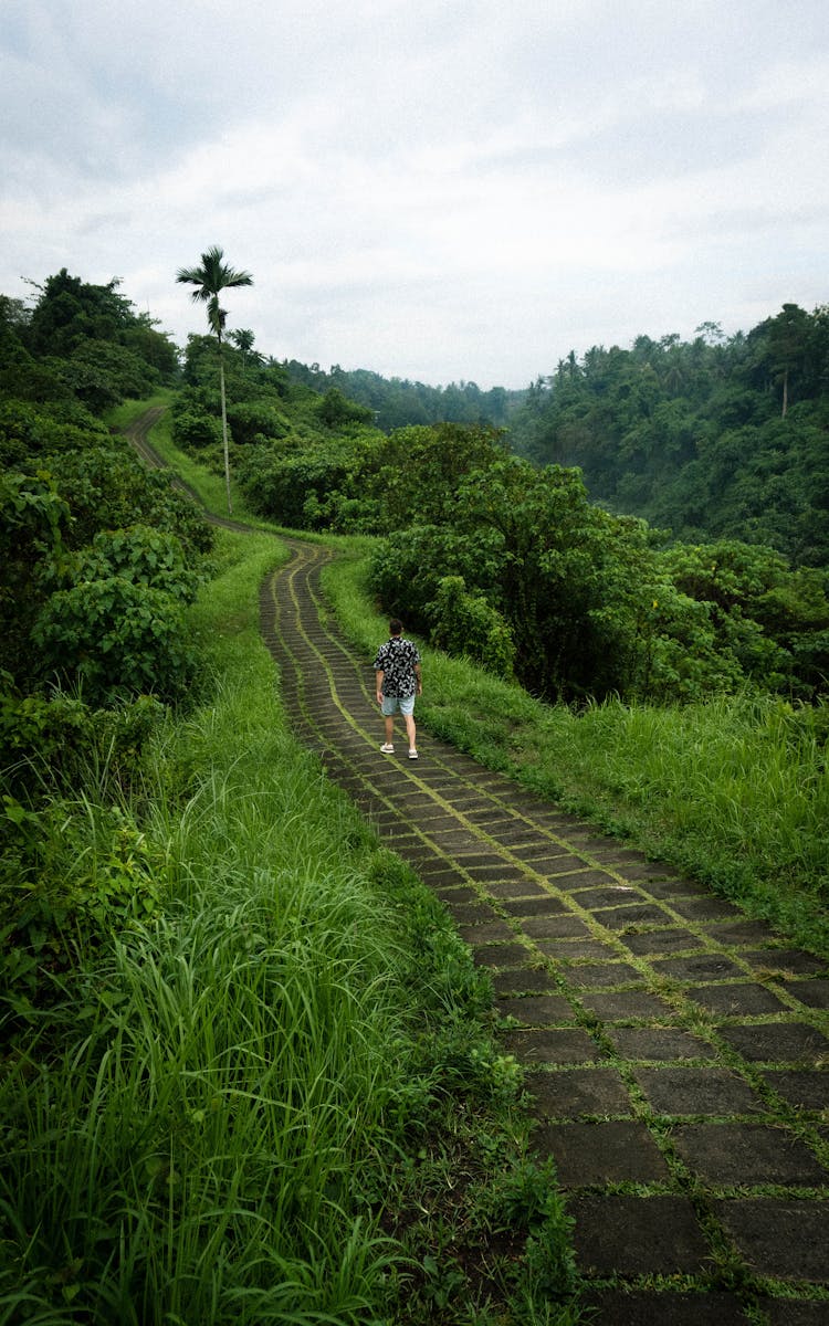 Back View Of A Person Walking On A Concrete Pathway