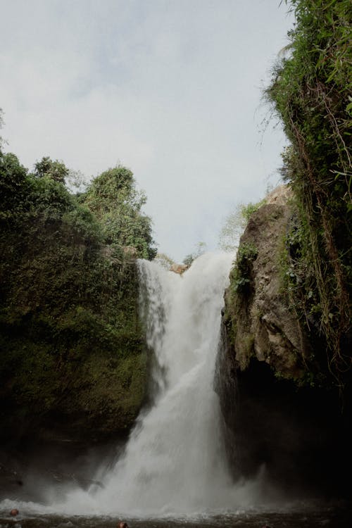 Бесплатное стоковое фото с вертикальный выстрел, водопады, джунгли
