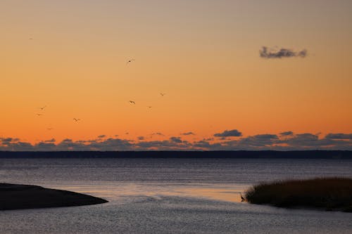 Immagine gratuita di alba, cielo, corpo d'acqua