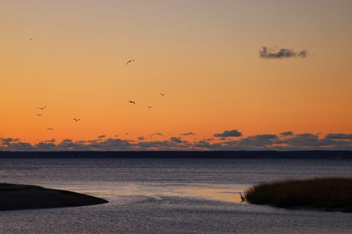 Free Beautiful sunset over Stamford Harbor with birds and calm waters. Stock Photo