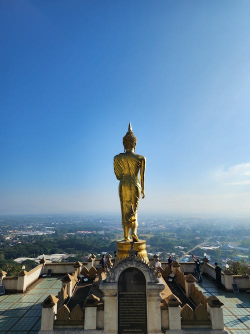 Back View of a Statue on a Roof Top