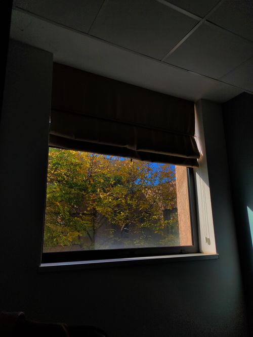 Free A sunlit window with trees outside, creating a serene, natural indoor atmosphere. Stock Photo