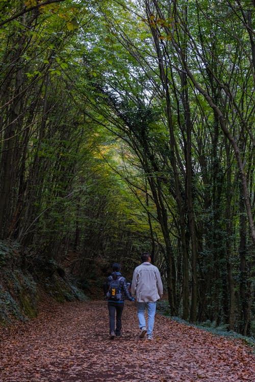 Photo of Two People walking in a Forest