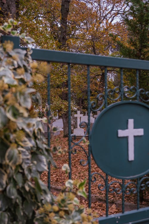 A Cemetery during the Day