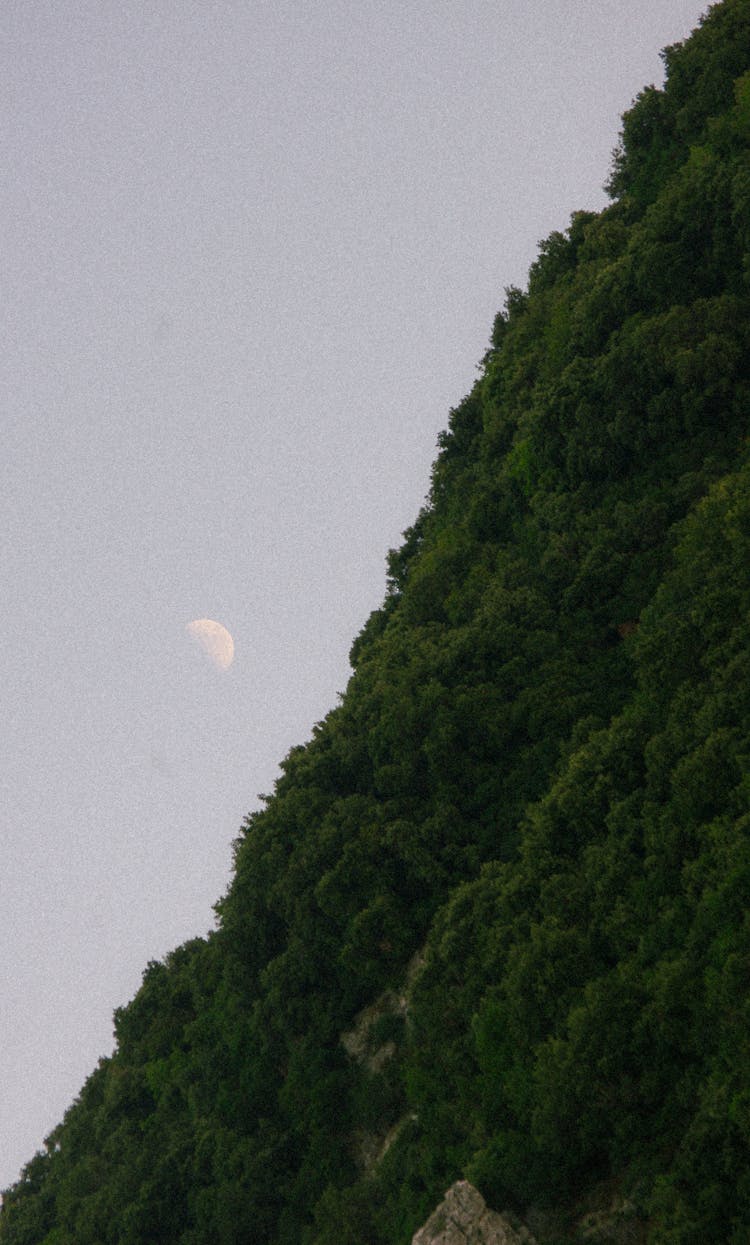 Moon Near Forest On Sttep Hill