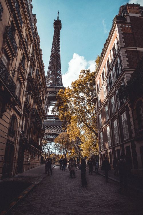 Free Scenic cityscape featuring the Eiffel Tower framed by Parisian buildings and autumn foliage. Stock Photo
