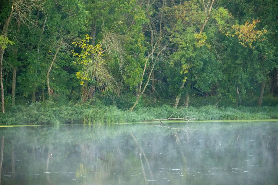 Expert Reviews of the Best Trout Spinning Reels for 2025