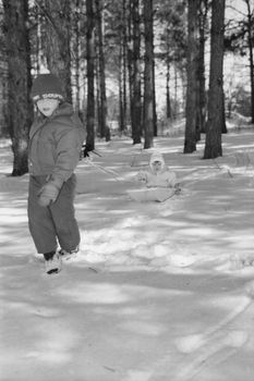 Kids enjoying a fun sledding day in a snowy forest in winter.