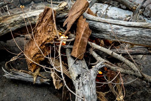 Fotobanka s bezplatnými fotkami na tému drevo na oheň, oheň, paličky
