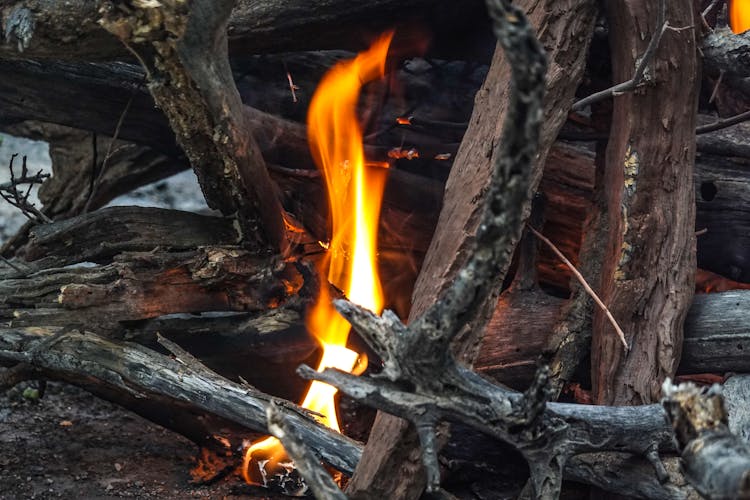 Burning Wood On Fire Pit