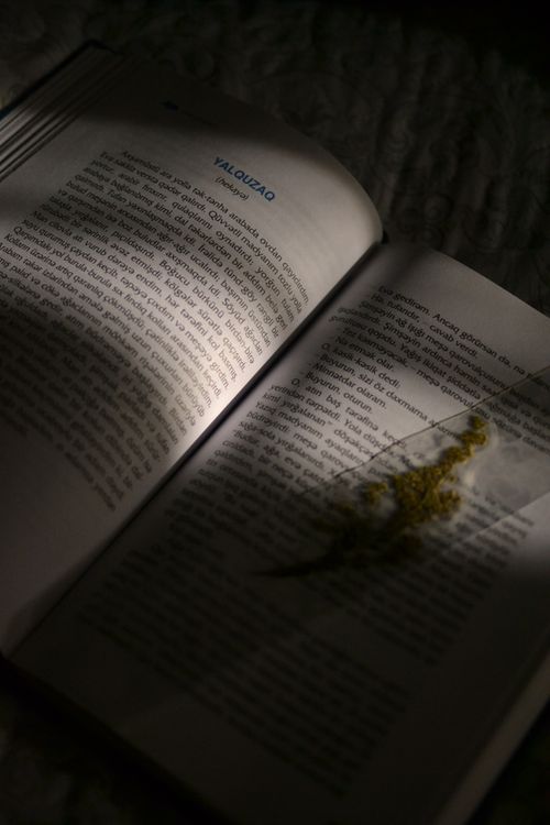 Free Book page highlighted by dramatic lighting with overlay shadow, adding depth and mystery. Stock Photo