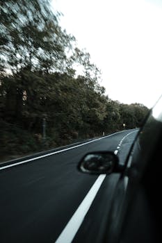 Dynamic view from a moving car on a winding forest road, showcasing speed and motion.