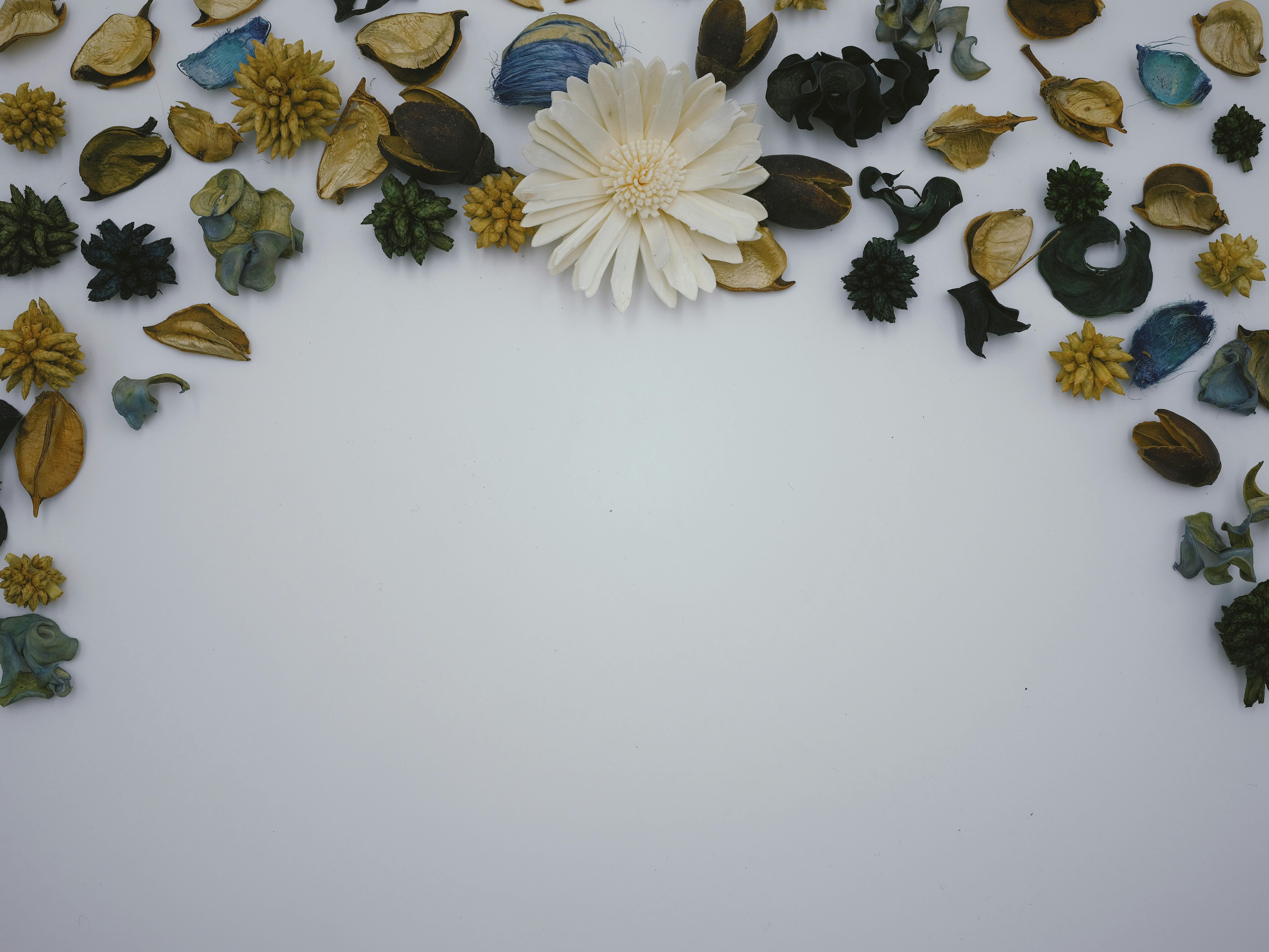 The Art of Scent: Enhancing Your Ambiance for a Charismatic Vibe