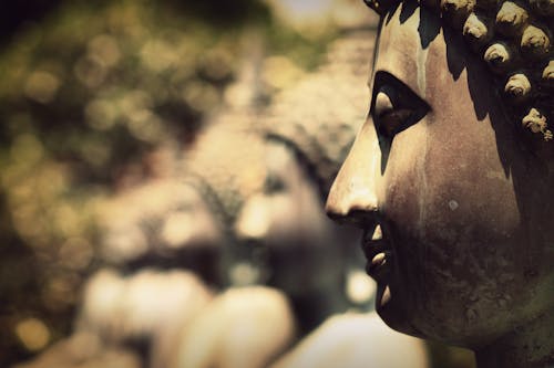 Foto profissional grátis de Buda