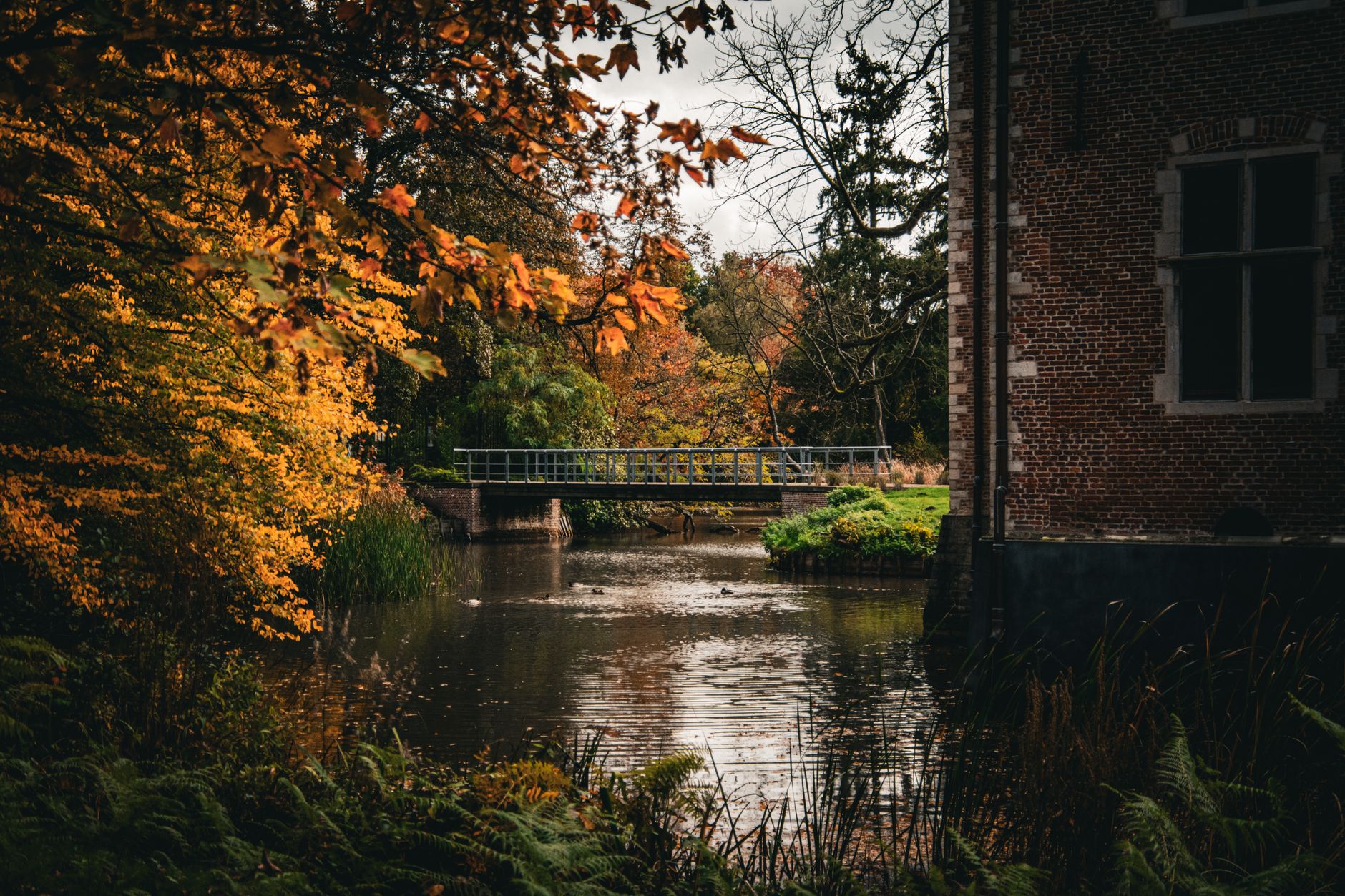 Waterloop en brug in een park in België