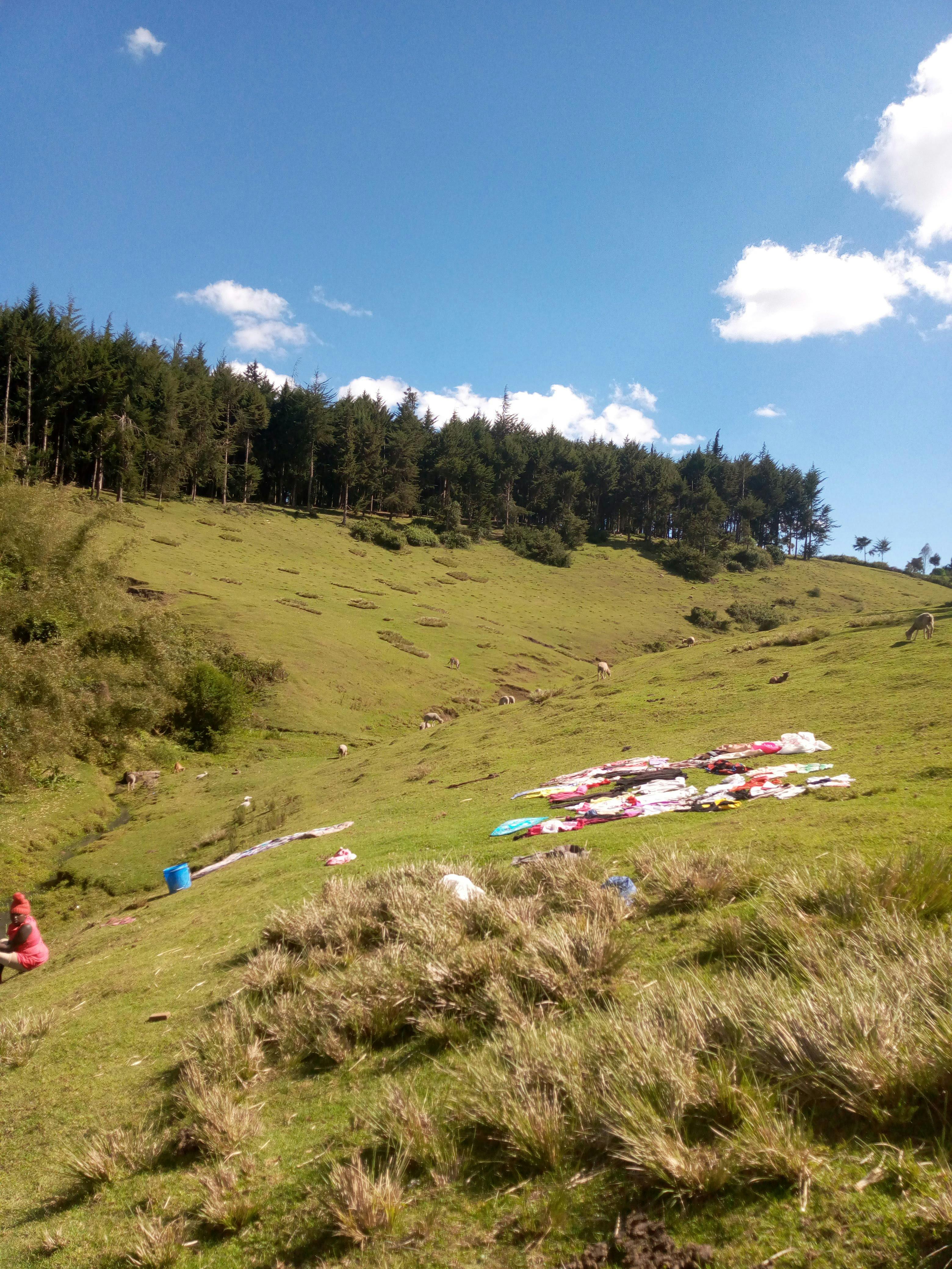 A picturesque hillside with clothes drying under a bright sunny sky, surrounded by lush trees.