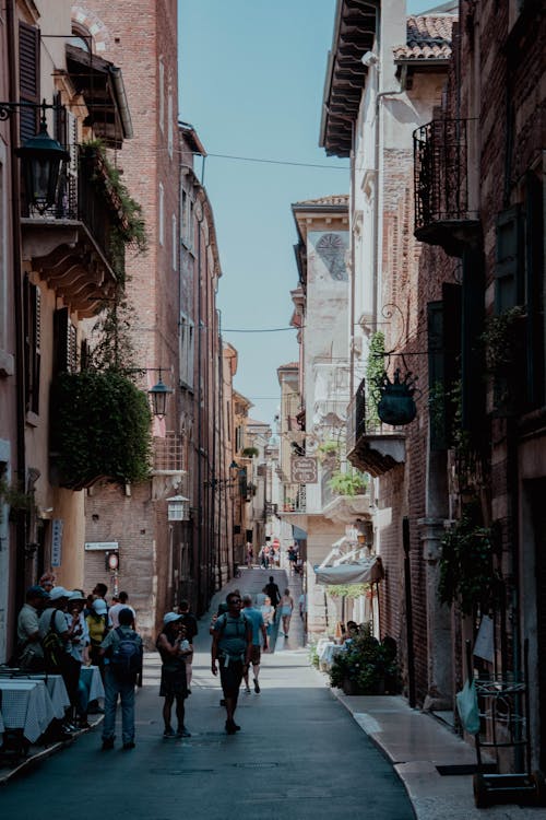 People Walking on Street