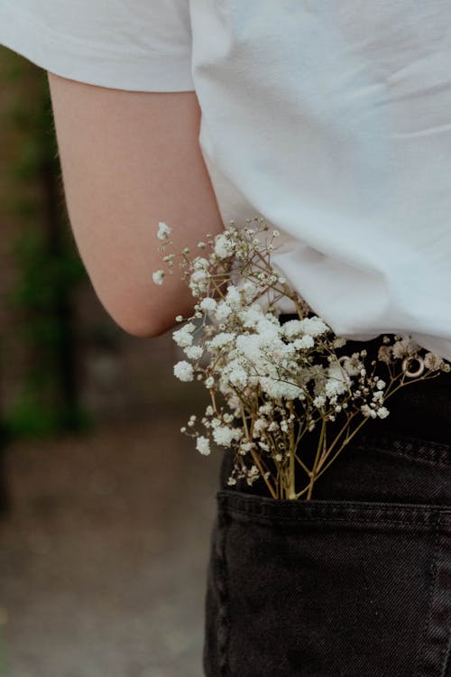 Kostnadsfri bild av babys andedräkt, blommor, blomning