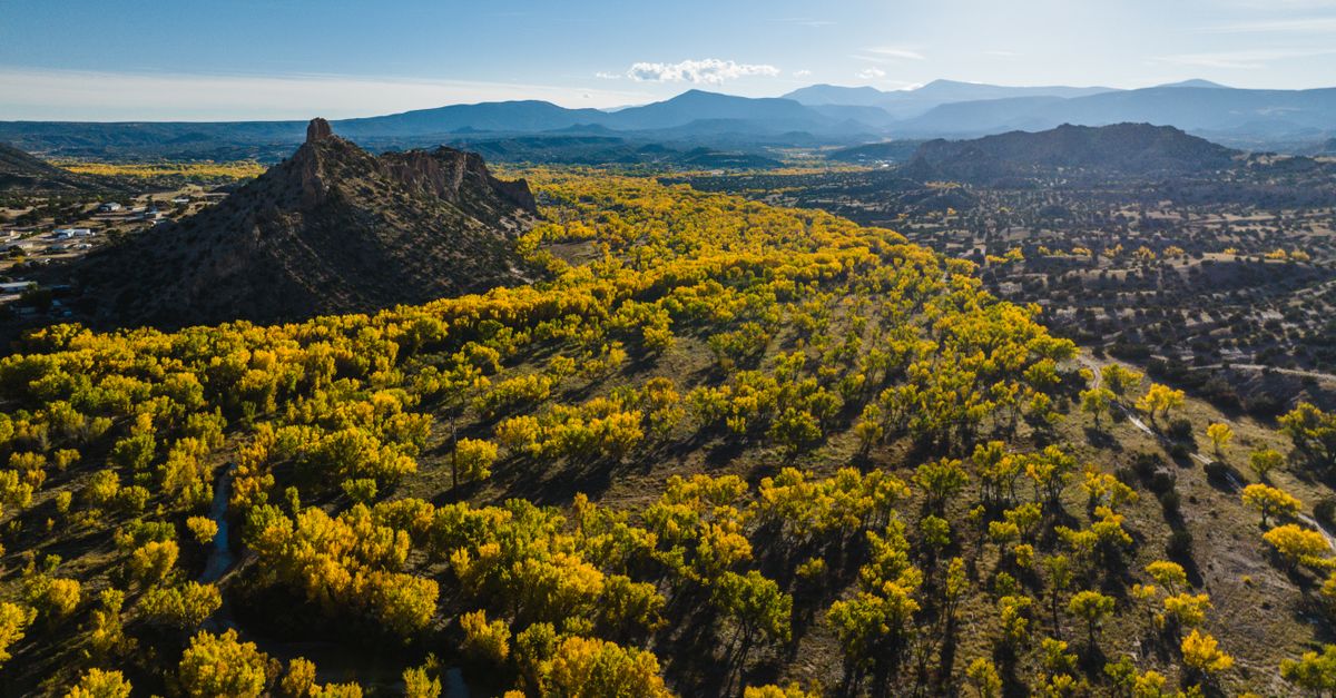 Addressing Albuquerque’s Rural Healthcare Referral Dilemma