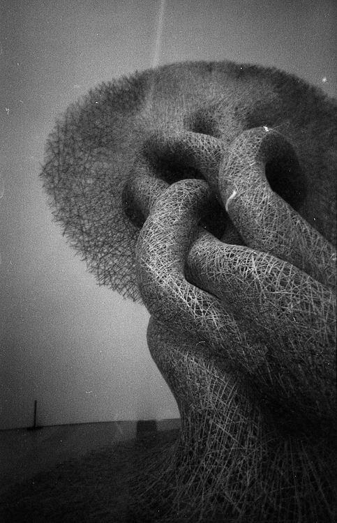 Tanglish Abstract Design Monochromatic Abstract Photo of a Tangle · Free Stock Photo