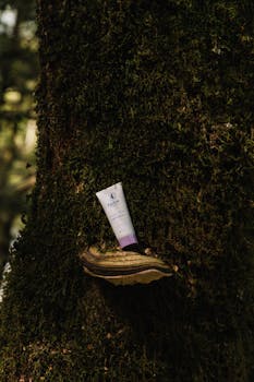 Skincare tube displayed creatively on natural tree bark in a forest setting.