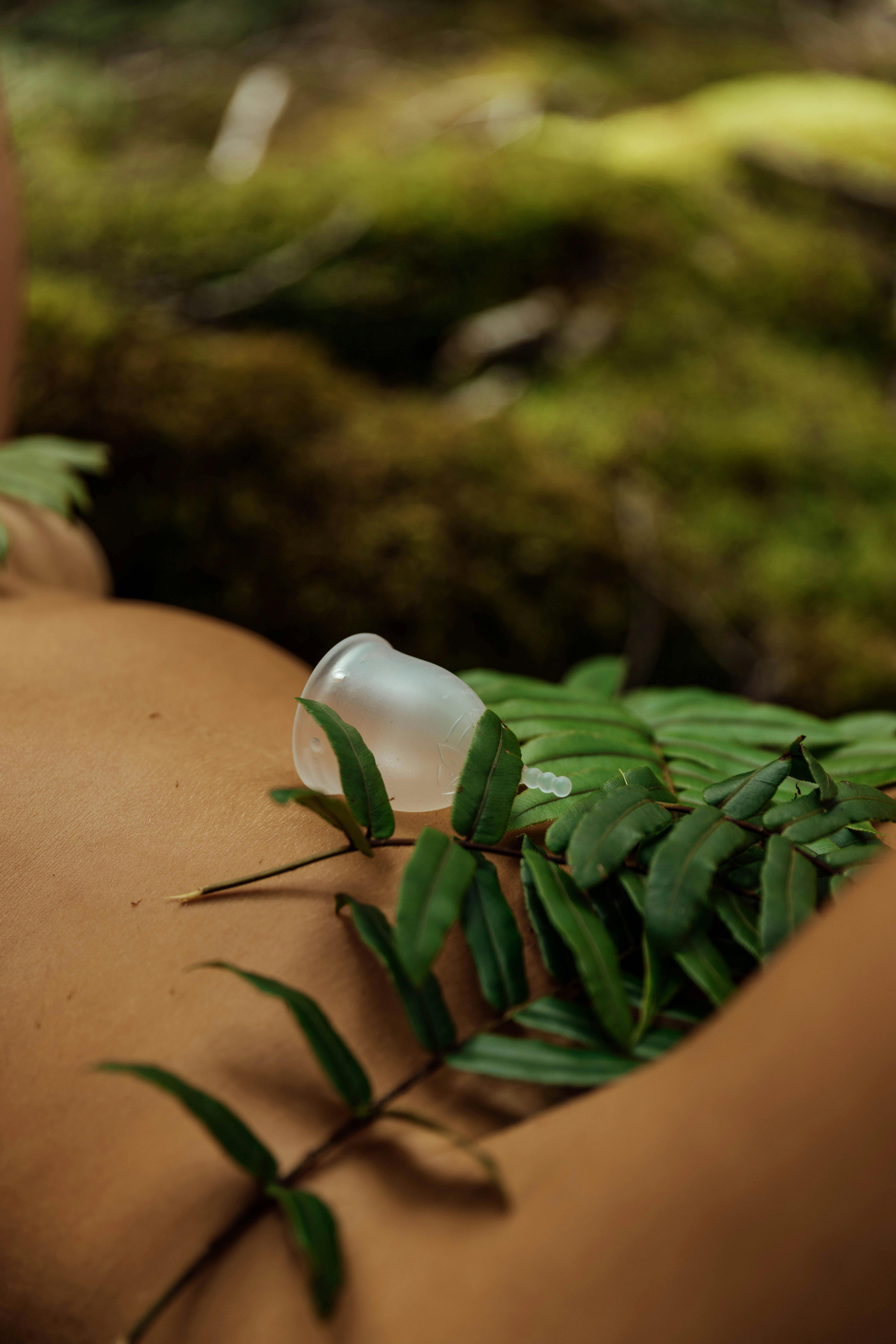 Backs of Naked Women Lying Down · Free Stock Photo