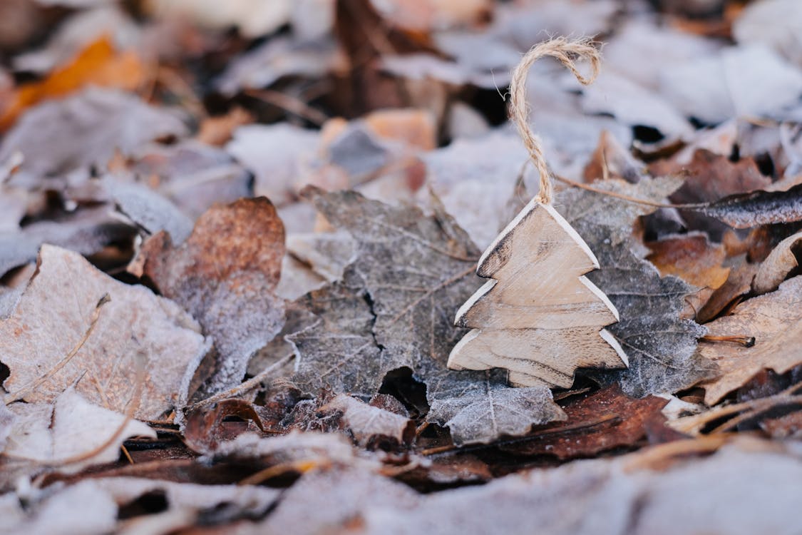 Christmas Handmade Decoration on Leaves in Frost