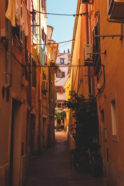 Empty Narrow Street Between Concrete Buildings