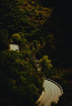 A picturesque winding road through lush forested hills in Greece, ideal for travel and nature enthusiasts.