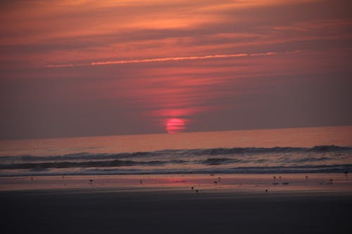 Foto profissional grátis de amanhecer cedo, cores do nascer do sol, mar