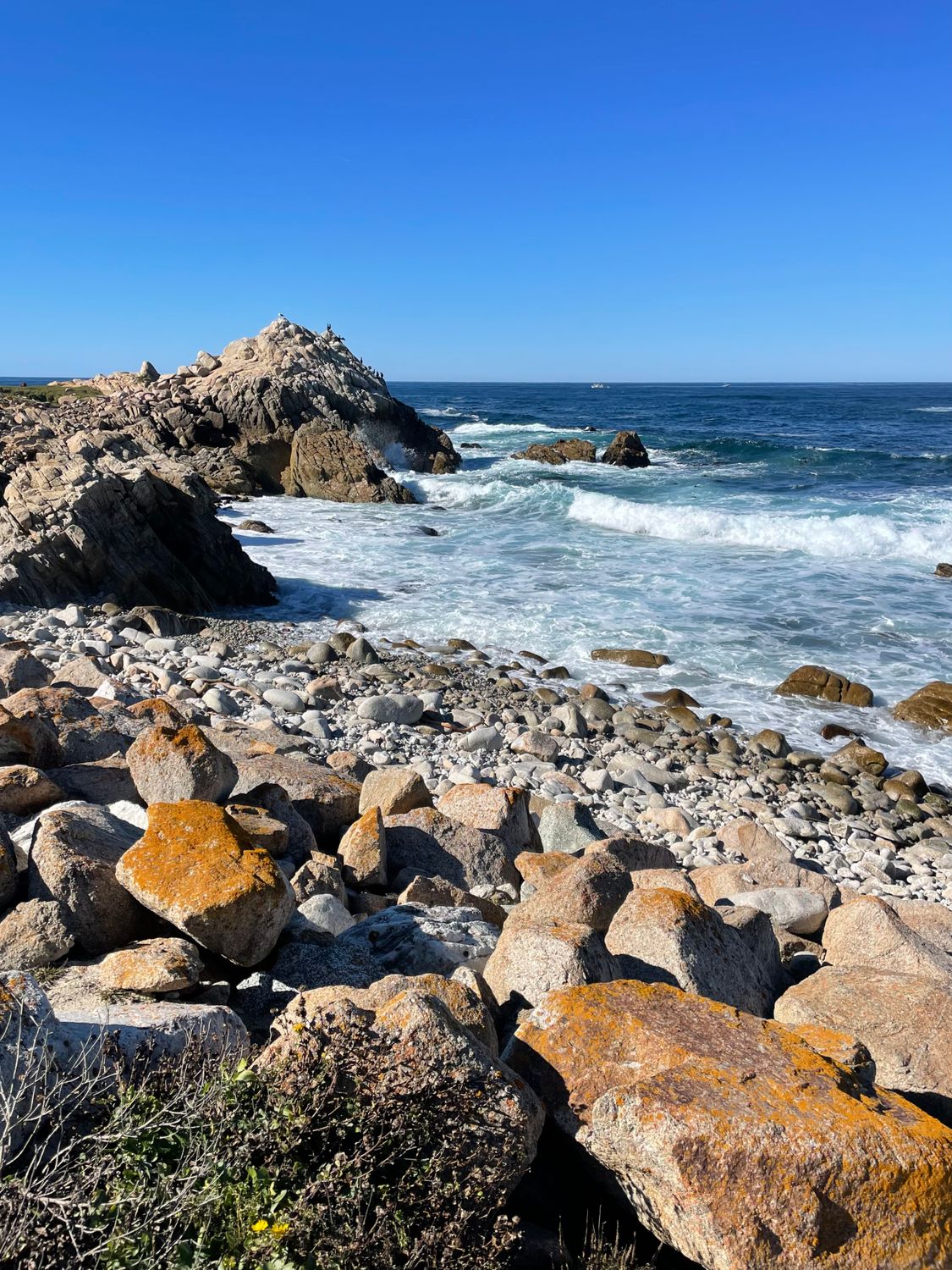 Rocky Shore on the Ocean · Free Stock Photo