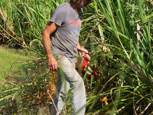 Gratis stockfoto met boer, boerderij, een vuur aansteken