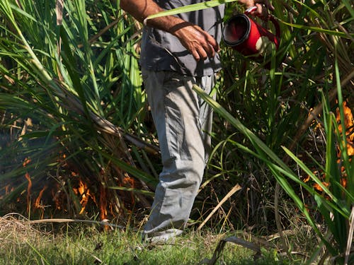 Gratis stockfoto met boer, boerderij, een vuur aansteken