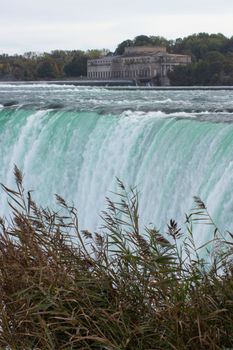 Stunning close-up of Niagara Falls in autumn with lush greenery.