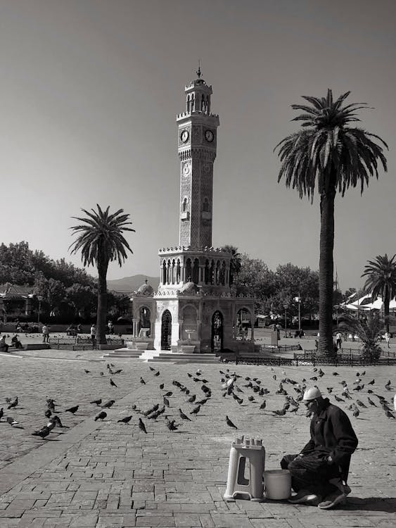 People Walking on Park Near Palm Trees