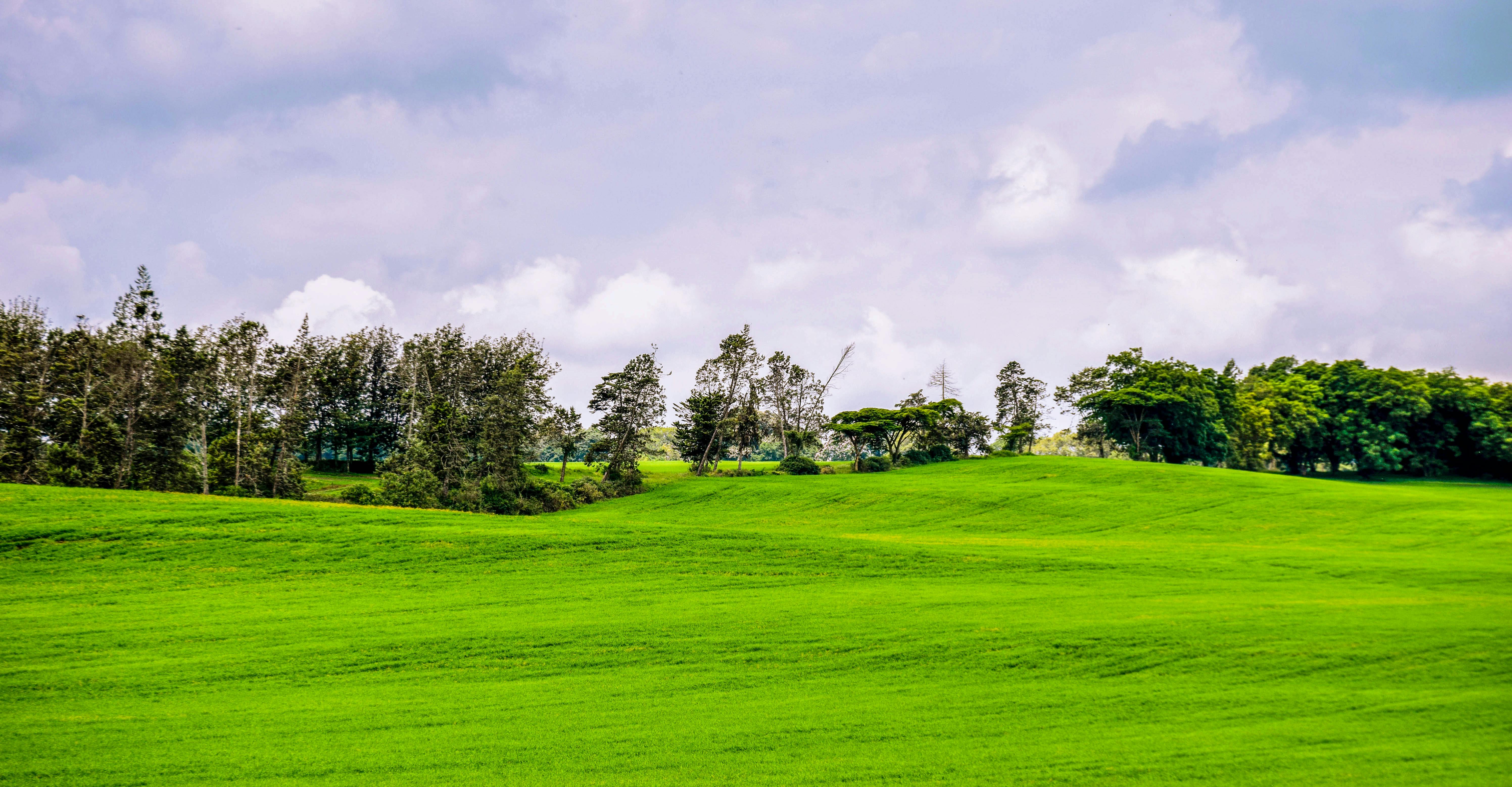 Free stock photo of green field, Rift valley highlands kenya