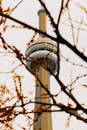 View of CN Tower Through Tree Branches